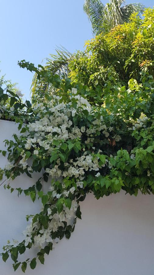Apartamento Villaplaya Malaga Centro Eksteriør bilde
